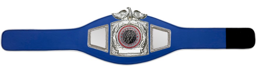 PROEAGLE WRESTLING CHAMPIONSHIP BELT - PROEAGLE/S/WRESTGEMS - AVAILABLE IN 6+ COLOURS PROEAGLE WRESTLING CHAMPIONSHIP BELT - PROEAGLE/S/WRESTGEMS - AVAILABLE IN 6+ COLOURS
